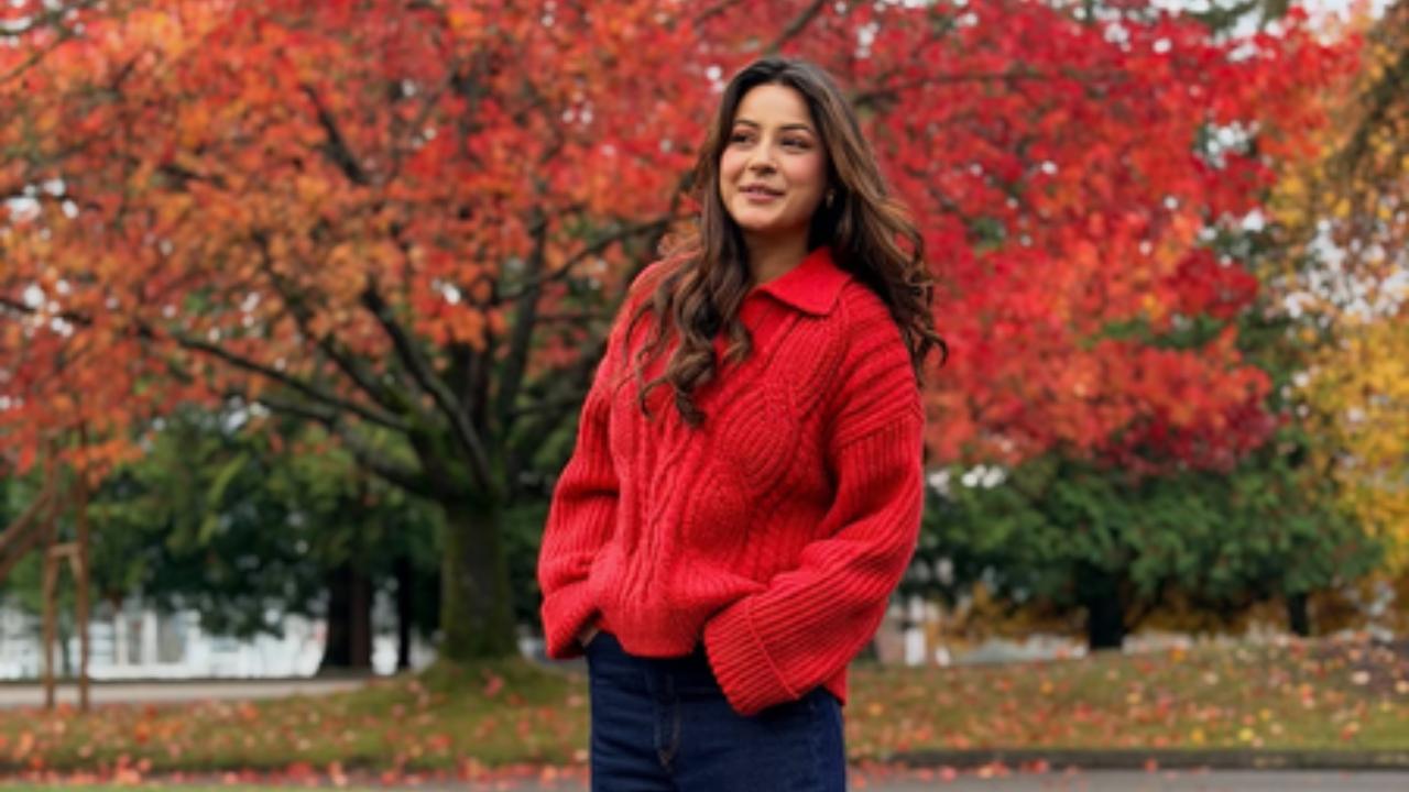 Shehnaaz Gill on Bigg Boss: 'It was a platform where my life changed'